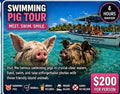 SWIMMING PIGS TOUR