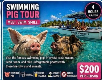 SWIMMING PIGS TOUR