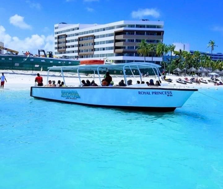 Swimming with Pigs Tour – Private Island Experience