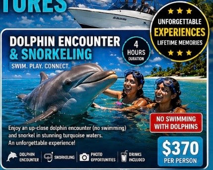 DOLPHIN ENCOUNTER & SNORKELING TOUR