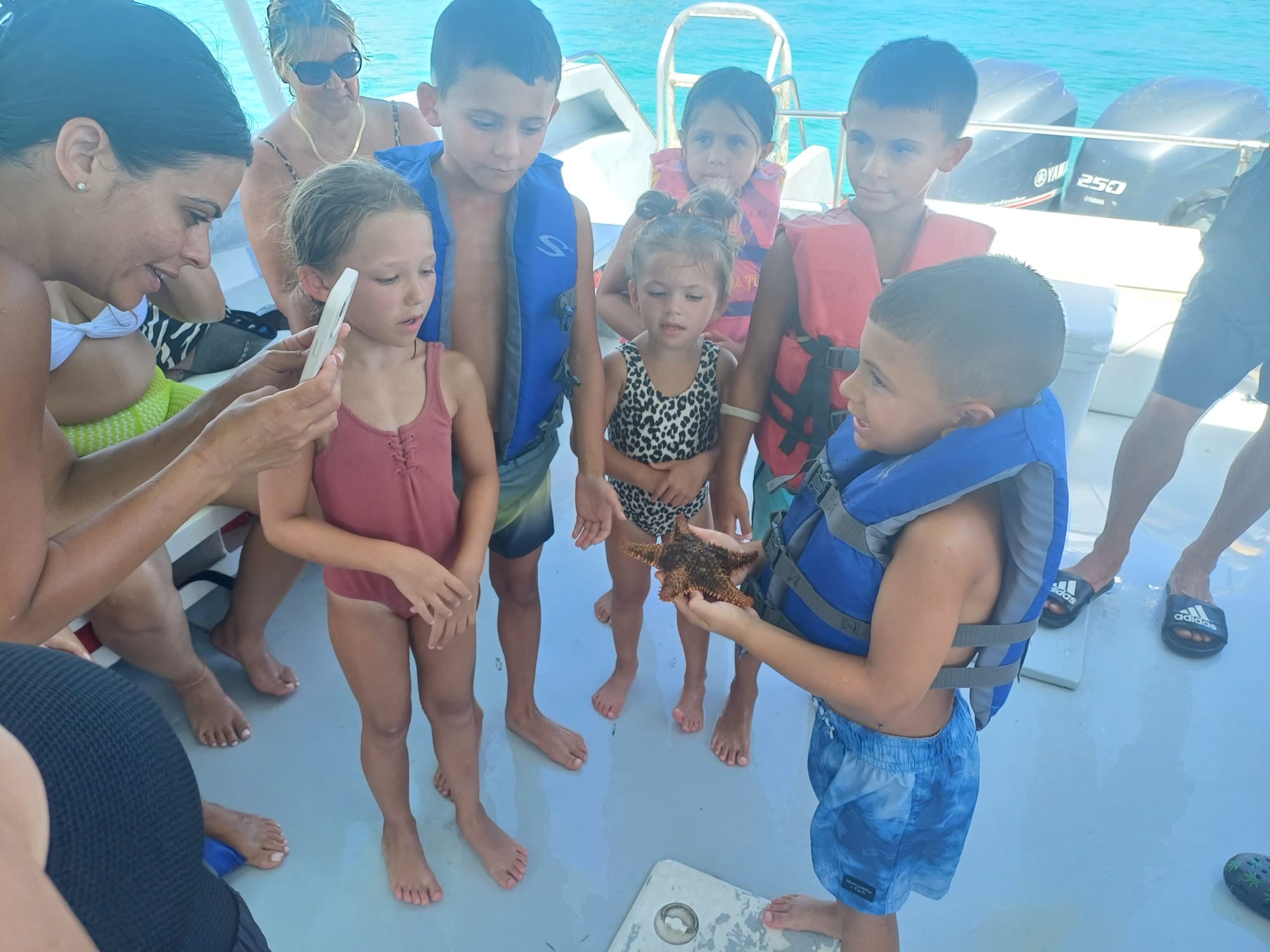 Private Island Adventure – Swim with the Pigs & Beach Lunch Stop