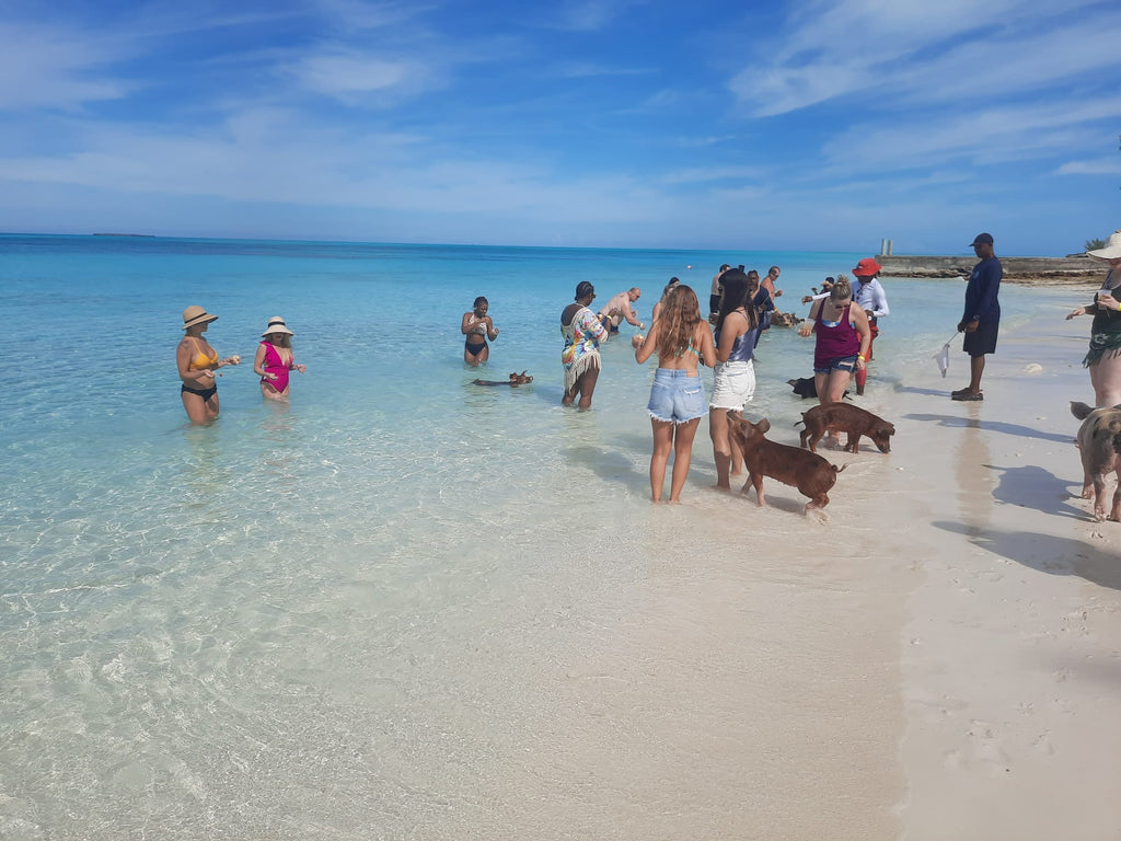 Private Island Adventure – Swim with the Pigs & Beach Lunch Stop