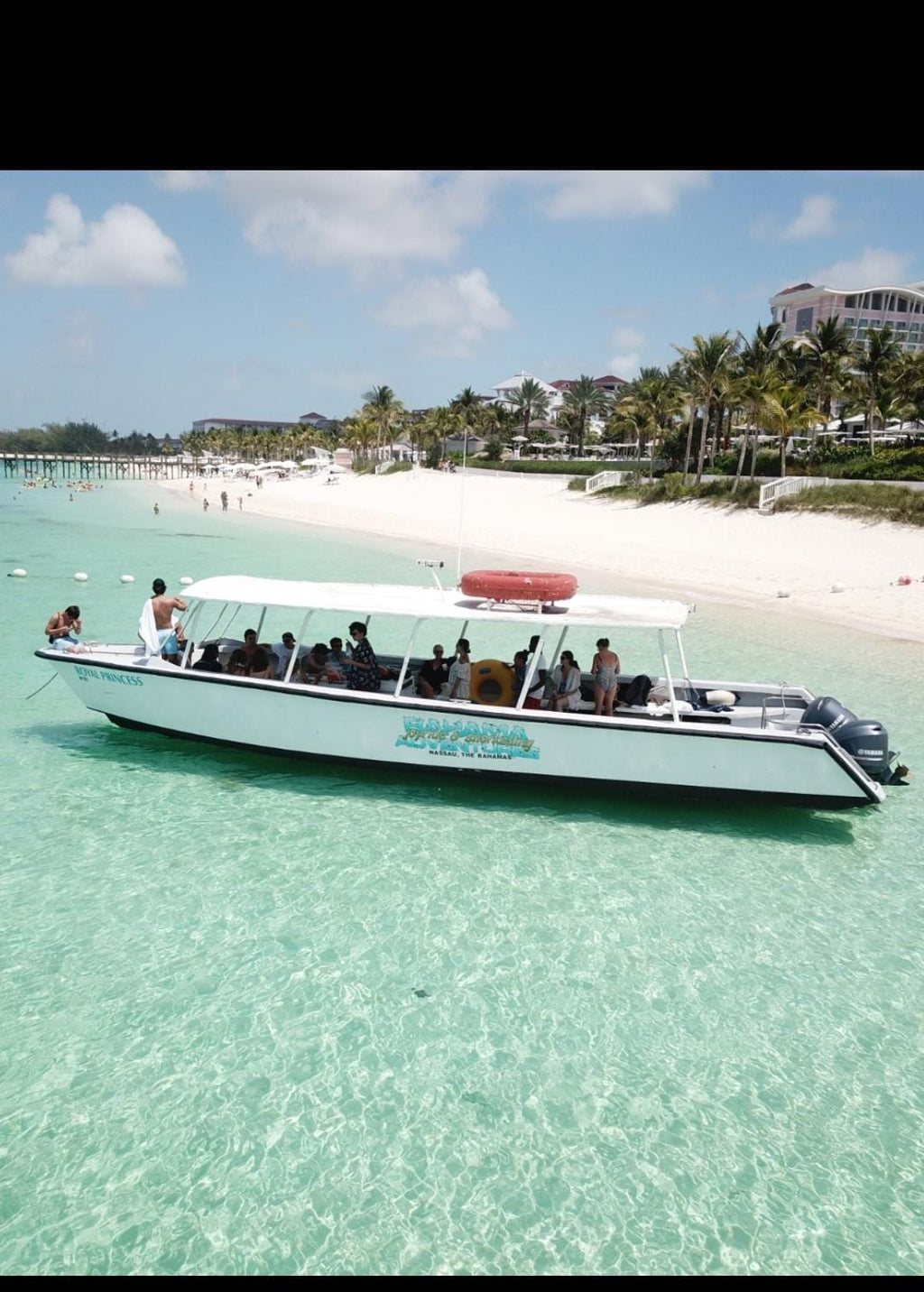 Swimming with Pigs Tour – Private Island Experience