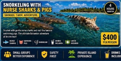 SNORKELING WITH PIGS AND NURSE SHARK