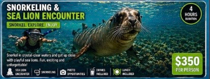 SEA LION ENCOUNTER AND SNORKELING
