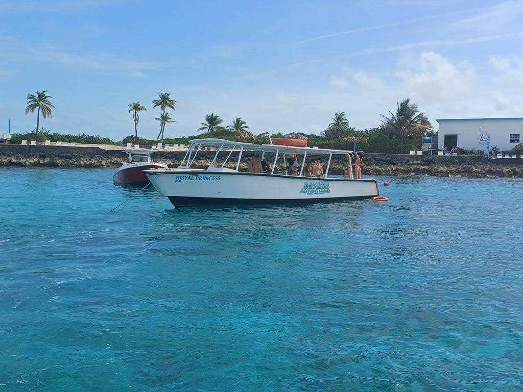 Swimming with Pigs Tour – Private Island Experience