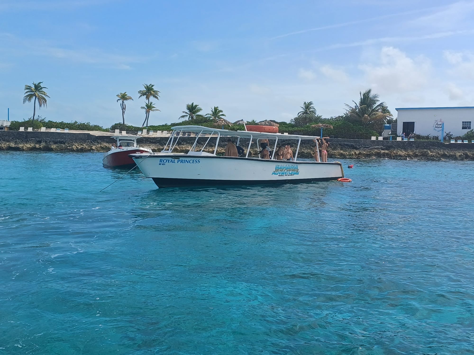Swimming with Pigs Tour – Private Island Experience